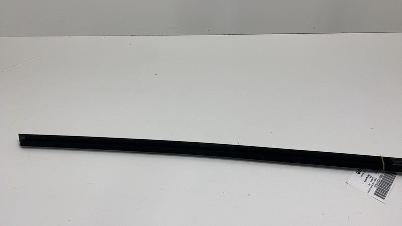 108068100H ⭕ 2021-2025 Tesla Model 3 Front Left Door Window Outer Belt Molding 1080681-00-H