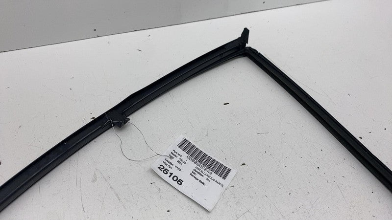 ⭕ 2023-2025 Toyota Prius Rear Driver Side Door Window Run Channel Seal Left OEM