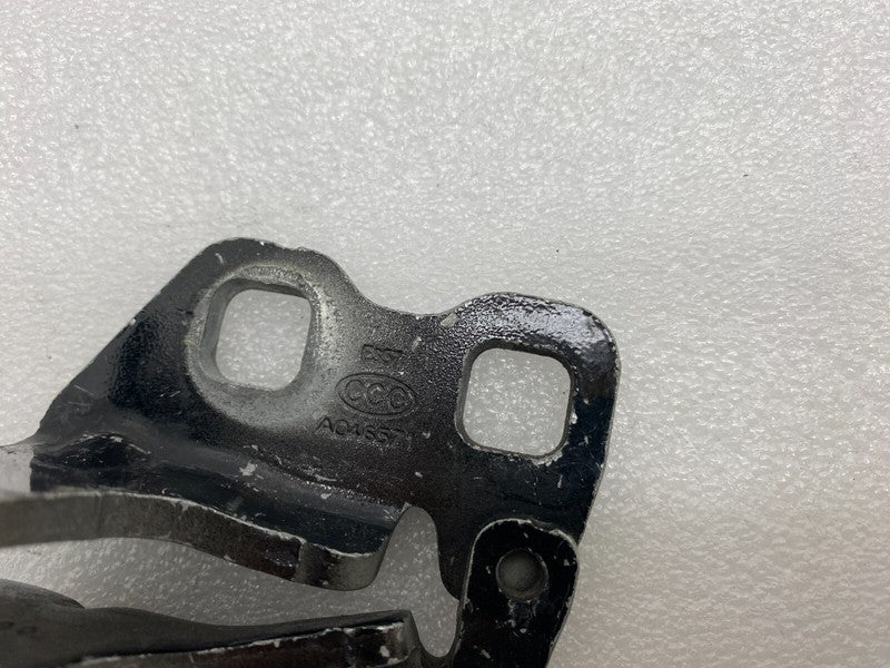 ⭕ 2017-2023 Tesla Model 3 M3 Front Driver Side Door Lower Hinge Left L