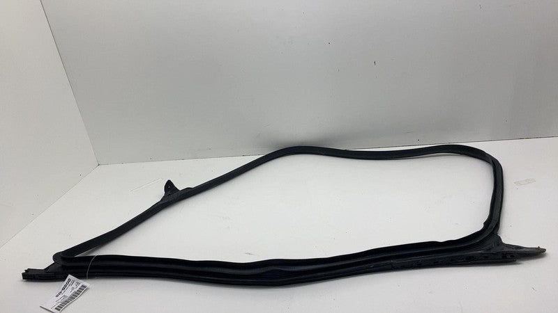 2017-2023 Tesla Model 3 Front Passenger Door Primary Weatherstrip Seal Right RH
