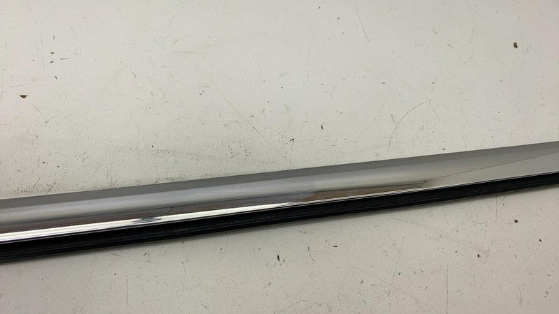 ⭕16-20 Tesla Model S Front Passenger Side Door Window Belt Molding Rig