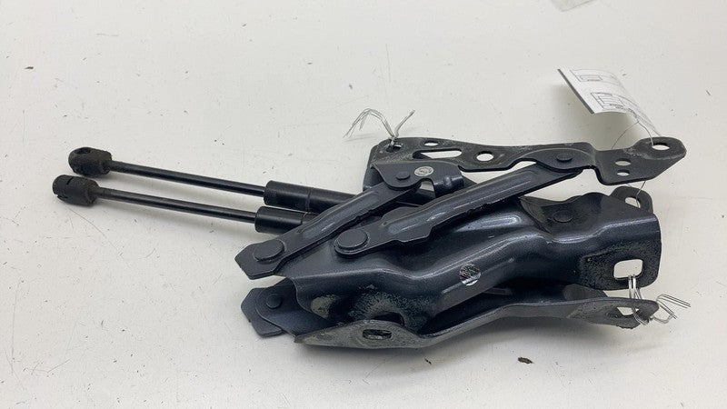 1058042 ⭕16-20 Model X Front Left & Right Side Bonnet Hood Hinge w/ Lift Support 1058042