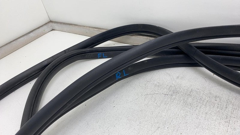 2022-2024 Kia EV6 Front & Rear Left & Right Door Body Weatherstrip Rubber Seal