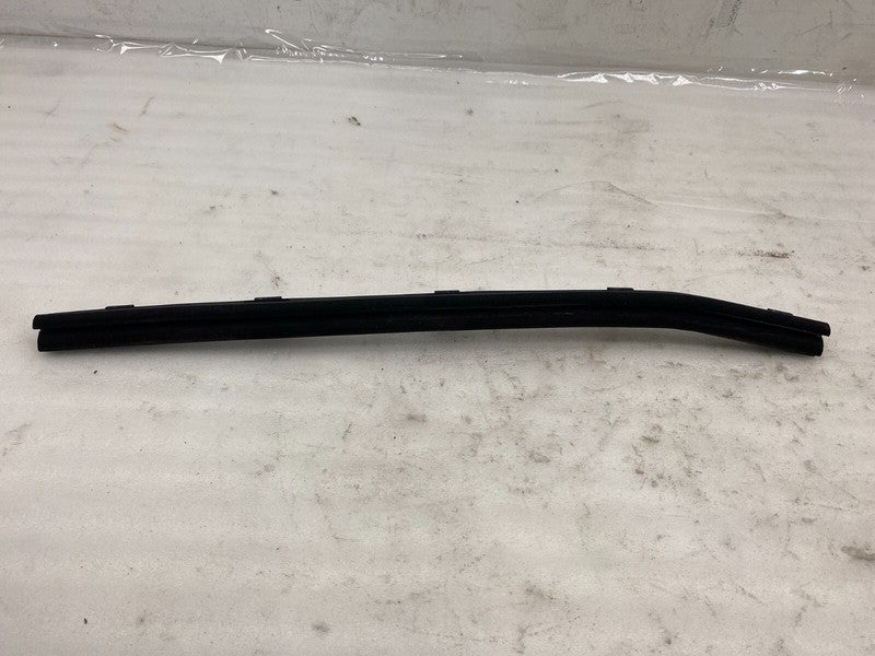 ⭕2012-2020 Tesla Model S Rear Driver Side Door Inner Belt Seal Body Cl