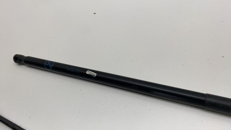 AM51 R406A10 BA 2013-2018 Ford C-Max PAIR of Rear Trunk Hatch Liftgate Gas Spring Lift Support