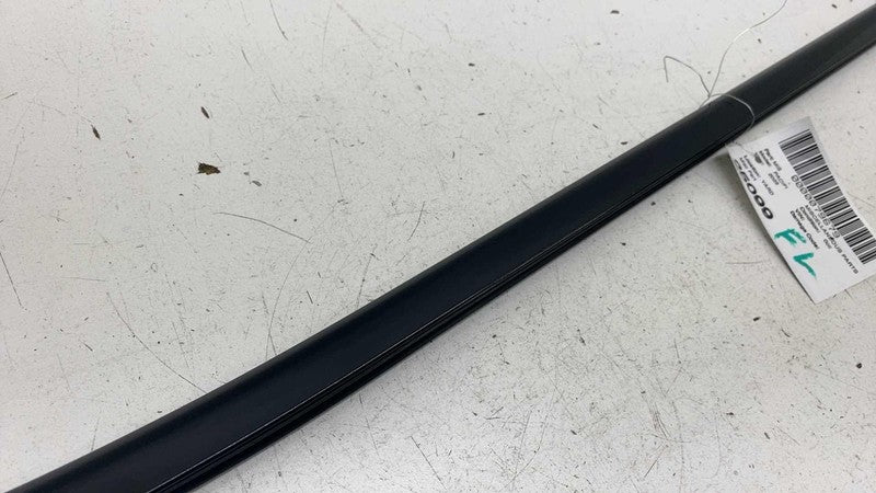 ⭕ 2017-2025 Chrysler Pacifica Front Driver Side Door Window Belt Molding Left LH