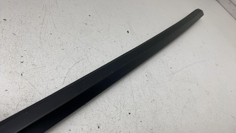 156223 2020-2024 Tesla Model Y MY Rear Driver Door Window Outer Belt Seal Molding Left