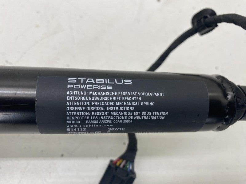 ⭕16-24 Model X Rear Left/Right Secondary Falcon Door Liftgate Strut 10