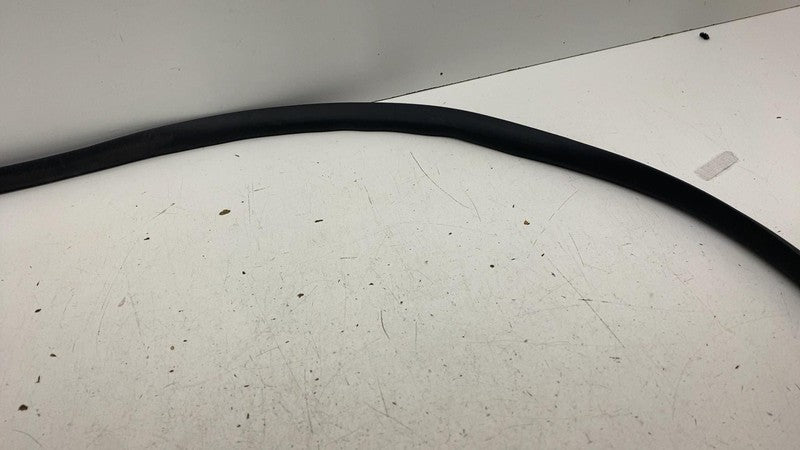 ⭕ 20-24 Model Y Front Left or Right Primary Body Weatherstrip Seal 149