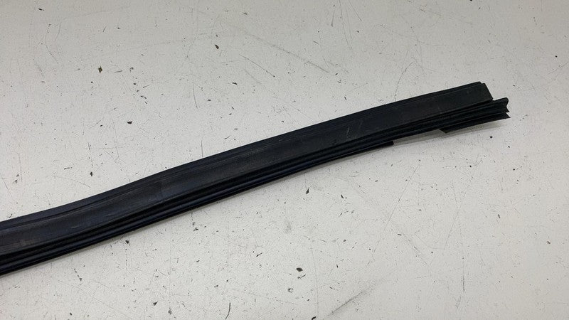 ⭕ 2016-2020 Tesla Model X Rubber Mold Weatherstrip Seal Inner Belt Molding Assy