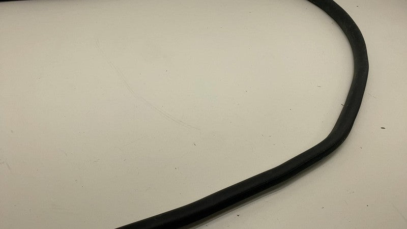 2020-2023 Tesla Model Y MY Front Driver Left Door Body Weatherstrip Rubber Seal