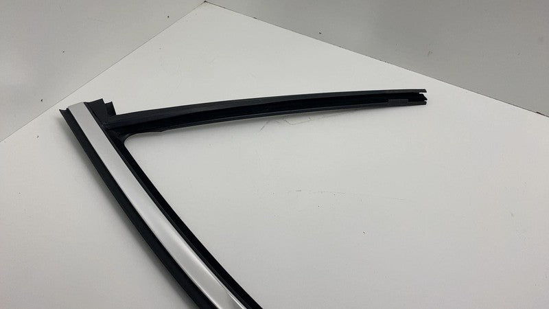 2021 BMW 530e G30 Front Driver Side Window Strip Molding Chrome Trim w