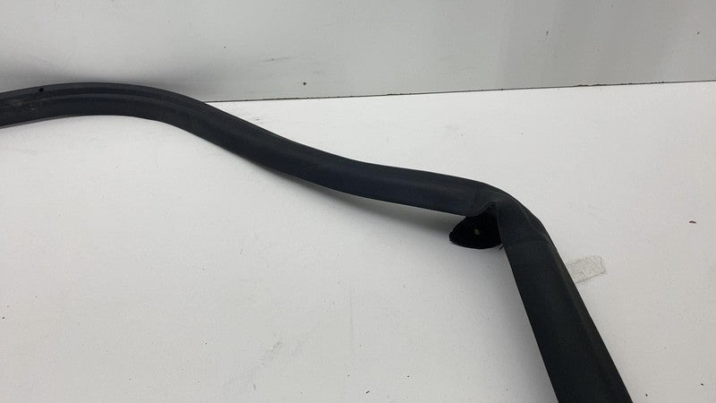 2017-2023 Tesla Model 3 Front Passenger Door Primary Weatherstrip Seal Right RH