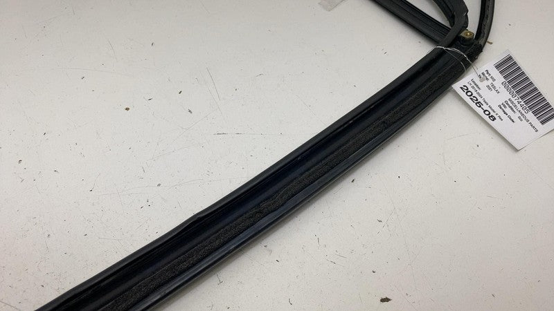 1484041-00-D ⭕ 2016-2024 Tesla Model X Rear Driver Side Door Window Seal Left LH 1484041-00-D
