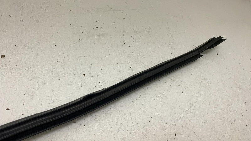 ⭕ 2016-2020 Tesla Model X Rubber Mold Weatherstrip Seal Inner Belt Molding Assy