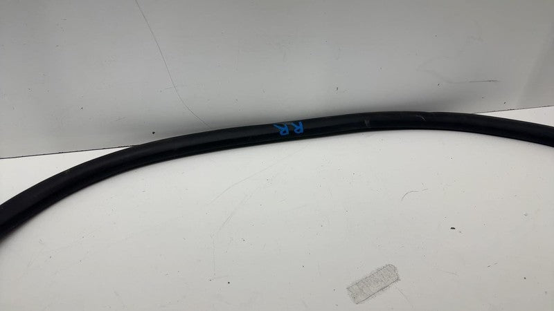 ⭕ 21-24 Mustang Mach-E Rear Passenger Right Door Body Weatherstrip Rubber Seal