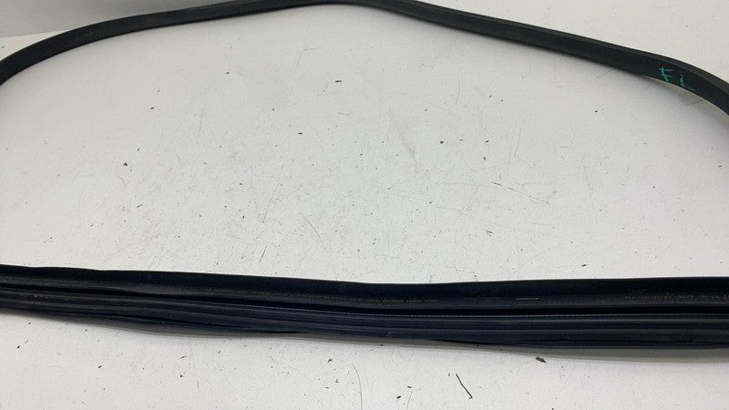 1910983-00-C ⭕ 24-25 Model 3 Front Left Primary Body Weatherstrip Rubber Seal LH 1910983-00-C
