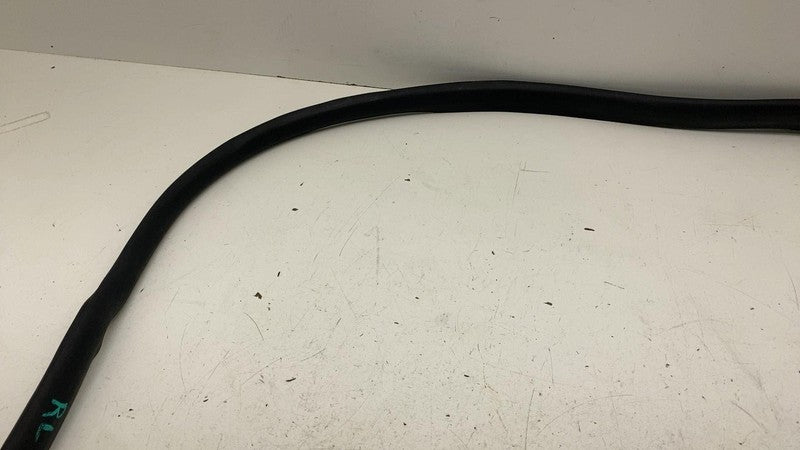 191098500C ⭕ 24-25 Tesla Model 3 Rear Side Left Door Primary Weatherstrip Seal 1910985-00-C
