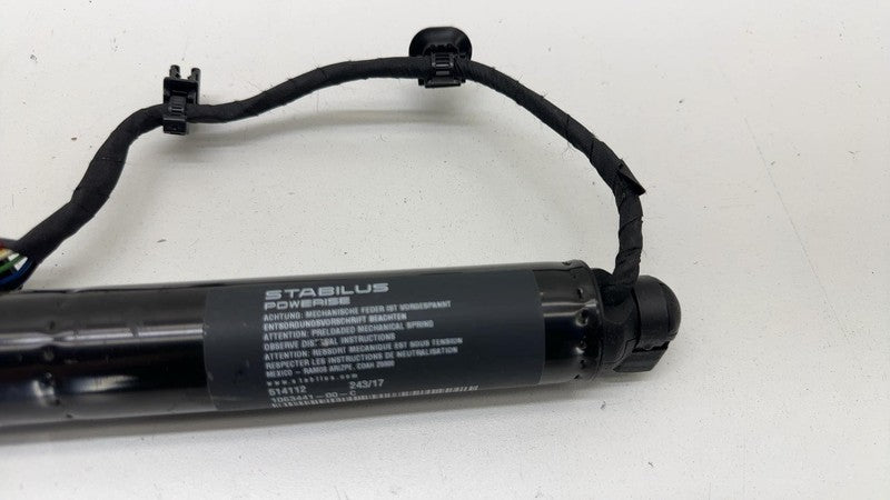 ⭕ 16-24 Tesla Model X Rear Left Secondary Falcon Door Lift Strut LH 10