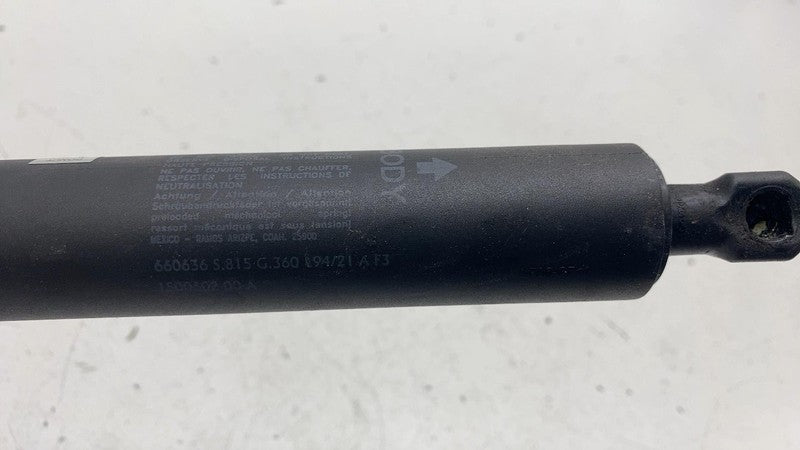 ⭕ 2020-2024 Tesla Model Y Rear Passenger Side Liftgate Strut Right 150