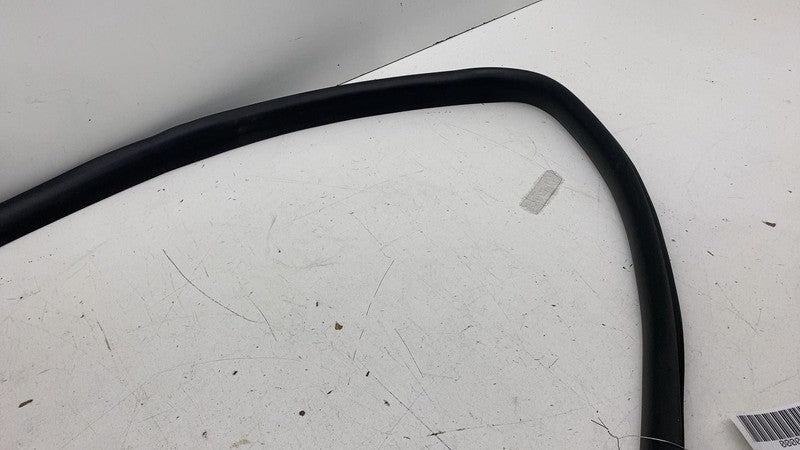 ⭕ 20-26 Tesla Model Y Rear Door Body Weatherstrip Rubber Seal Left 199