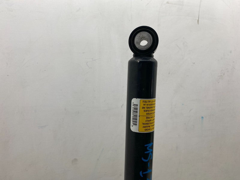 6006352 00 C ⭕ 12-15 Model S Rear Driver Side Air Suspension Spring Module Left 6006352-00-C