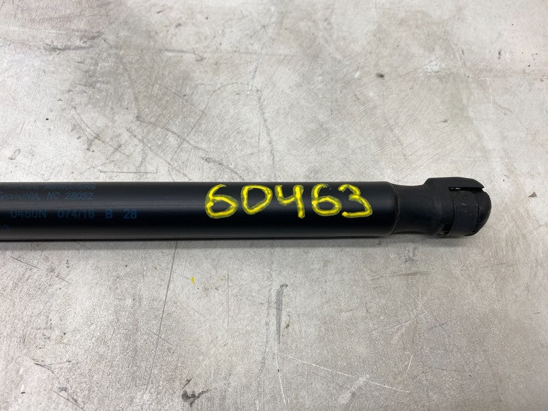 6006603 ⭕ 2012-2020 Tesla Model S MS Left or Right Side Hood Lift Gas Strut OEM 6006603