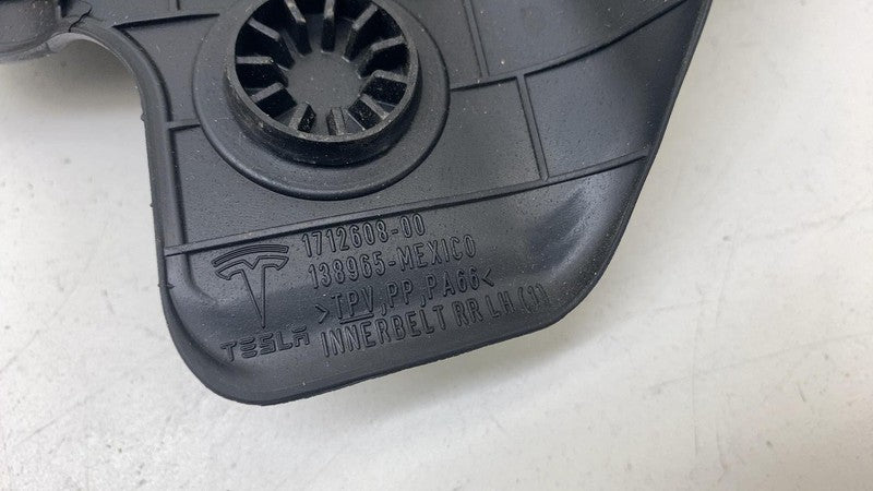171260800D ⭕ 24-25 Model 3 Rear Driver Left Door Inner Belt Weatherstrip Seal 1712608-00-D