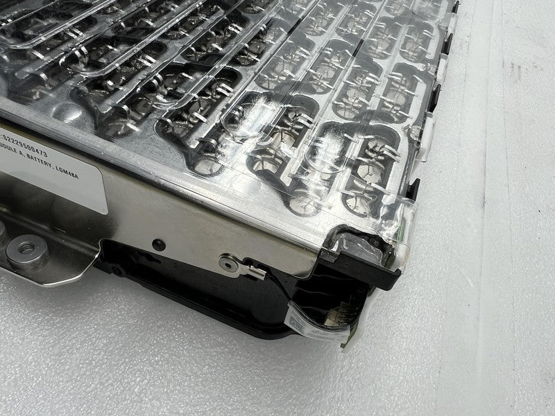 ⭕ 2022-2024 Lucid Air One Battery Module Total LGM48A Assembly P11-HM2