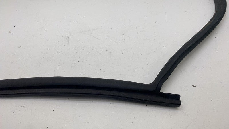 191098500E ⭕ 24-25 Tesla Model 3 Rear Side Left Door Primary Weatherstrip Seal 1910985-00-E