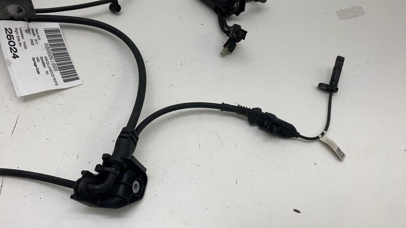 PT00052788 C ⭕ 22-24 Rivian R1T Reat Brake Caliper Cable ABS Wheel Speed Sensor PT00052788-C