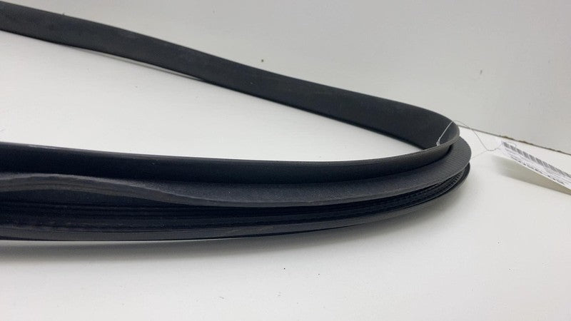 2020-2023 Tesla Model Y Rear Driver Side Door Body Weatherstrip Rubber