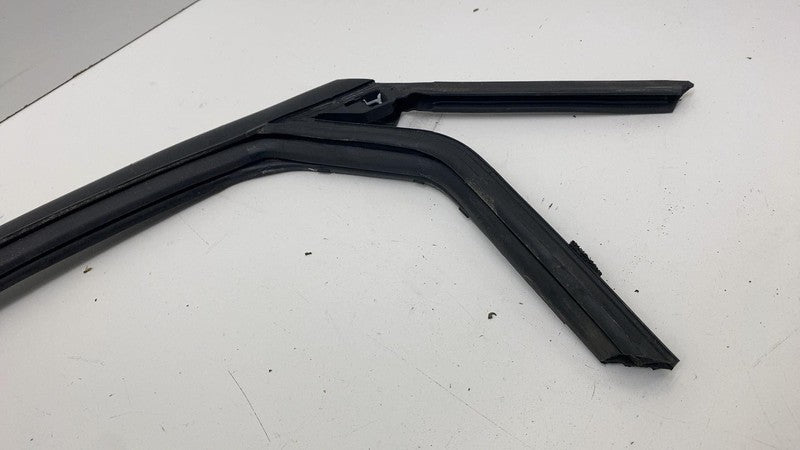 LJ8BR25825AE ⭕ 21-24 Ford Mustang Mach-E Rear Left Door Window Rubber Seal OEM LJ8B-R25825-AE