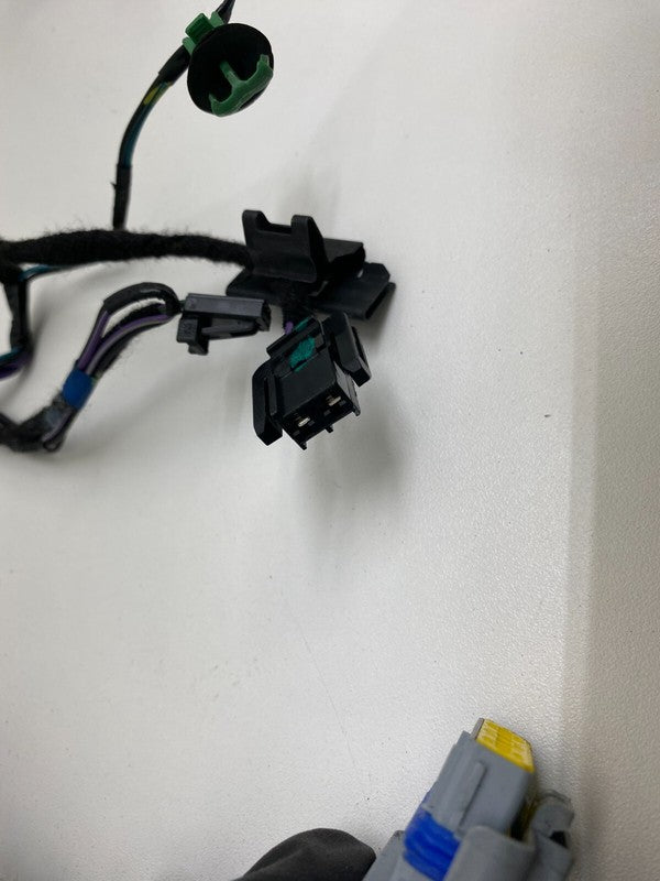 100442500H ⭕2013-2014 Tesla Model S Rear Door Wiring Harness Wire Loom Left LH 1004425-00-H