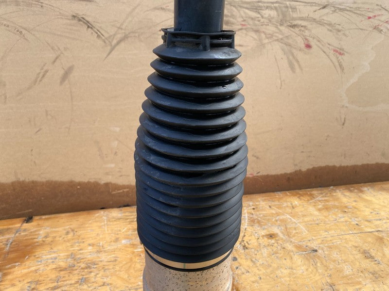 600635300C 2012-2015 Tesla Model S Rear Passenger Right Air Suspension Shock Strut Absorber