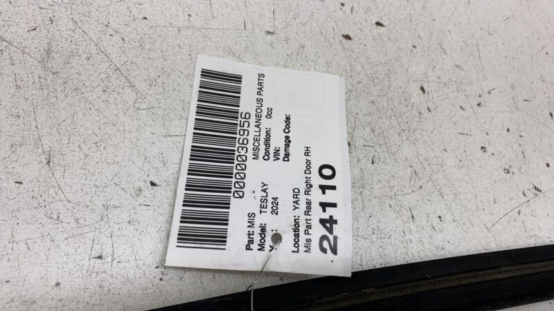 2020-2024 Tesla Model Y MY Rear Passenger Side Door Window Outer Belt Seal Right