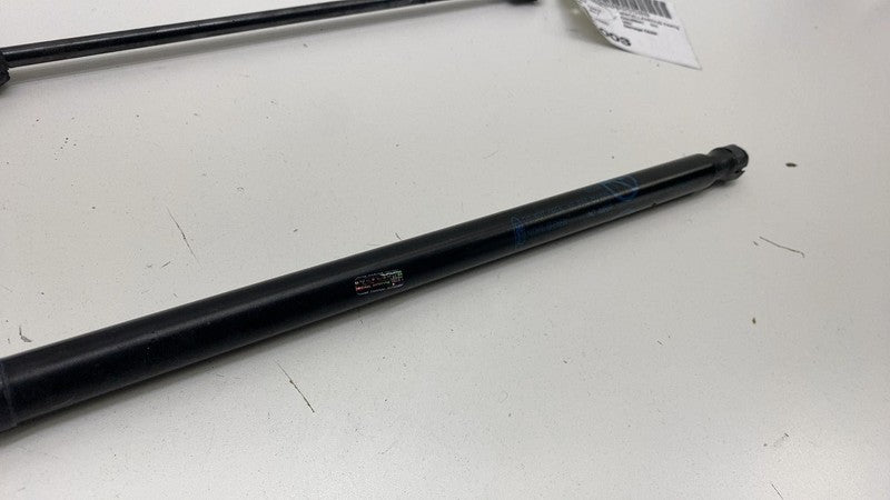AM51 R406A10 BA 2013-2018 Ford C-Max PAIR of Rear Trunk Hatch Liftgate Gas Spring Lift Support