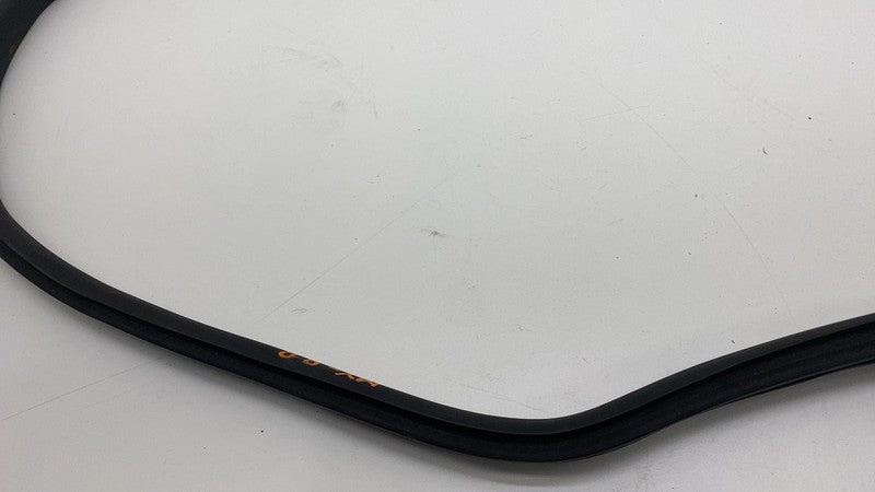 2020-2023 Tesla Model Y Rear Passenger Right Door Body Weatherstrip Rubber Seal