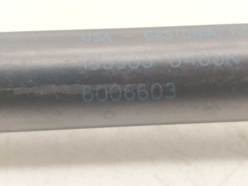 6006603 2012-2020 Tesla Model S Front Passenger Side Hood Lift Gas Strut Support Right