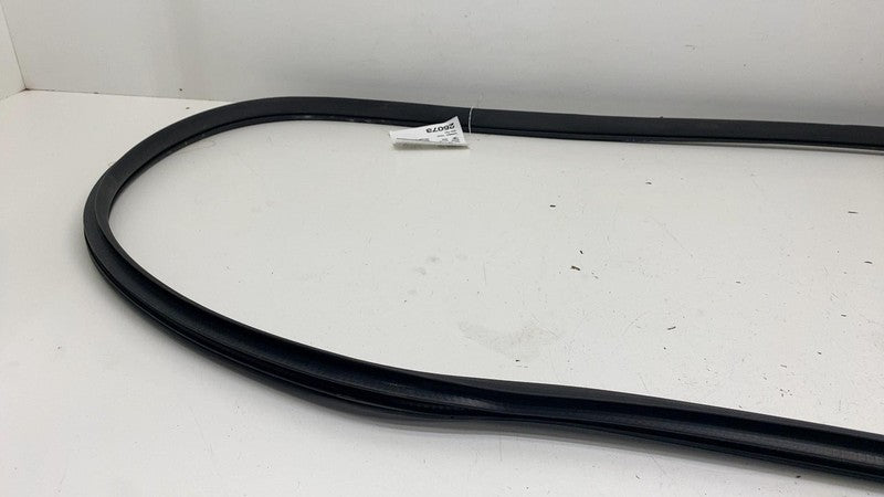 68291607 ⭕ 2019-2025 Ram 1500 Rear Left Door Body Weatherstrip Rubber Seal OEM 68291607