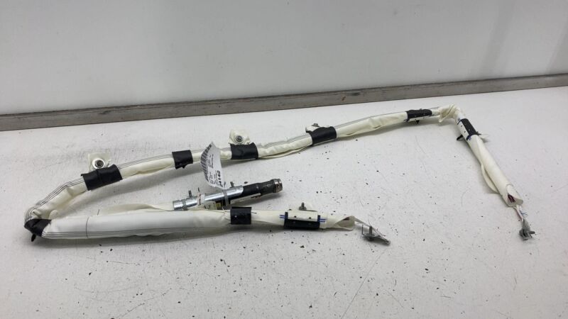 2017-2023 Tesla Model 3 M3 Driver Side Curtain Airbag Module Left LH Assembly