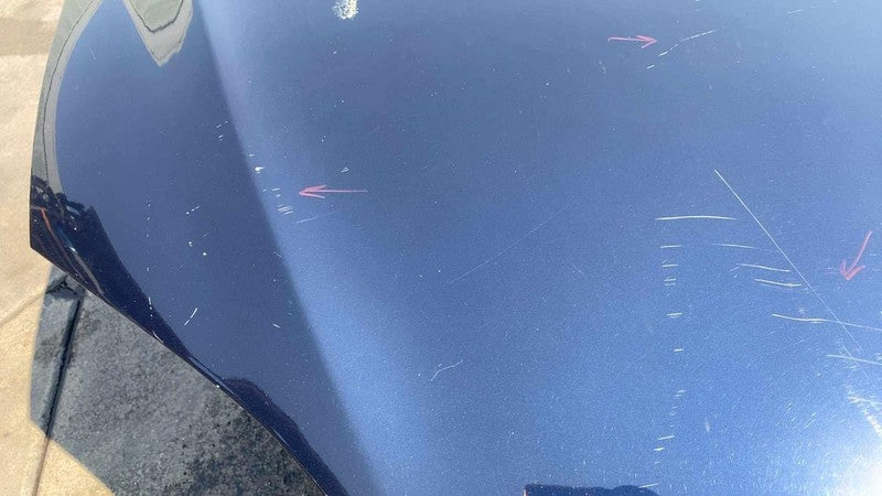 ⭕2012-2015 Tesla Model S MS Front Bonnet Hood Shell Panel Assembly OEM Blue PMMB