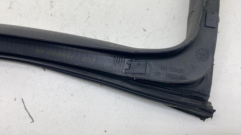 191098500C ⭕ 24-25 Tesla Model 3 Rear Side Left Door Primary Weatherstrip Seal 1910985-00-C