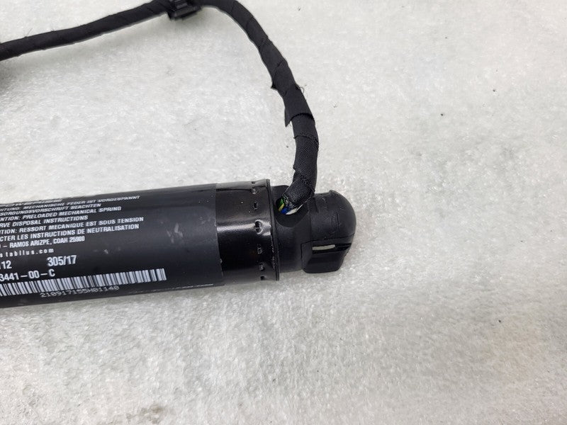 106344100C ⭕16-25 Model X Rear Left/Right Secondary Falcon Door Lift Gas Strut 1063441-00-C