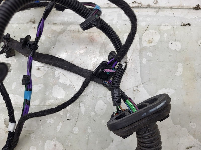 100442500P ⭕ 12-20 Model S Rear Driver Side Door Wiring Harness Wire Loom Left 1004425-00-P