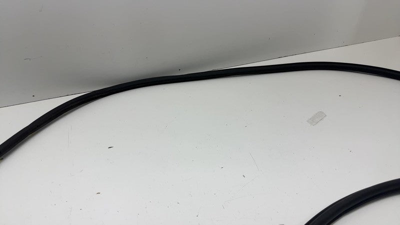 LJ8B-R20530 ⭕ 2021 2022 2023 2024 Ford Mustang Mach-E Front Door Weatherstrip Seal OEM