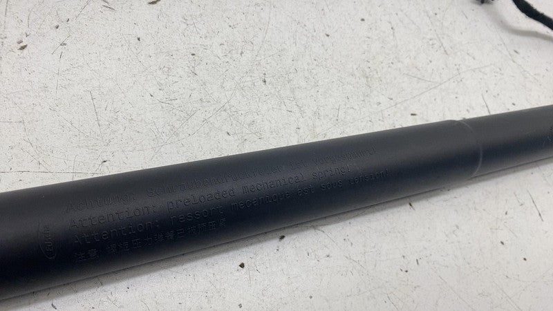 31689670 ⭕ 2023 Polestar 2 PS2 Rear Passenger Right Tailgate Gas Cylinder Strut 31689670