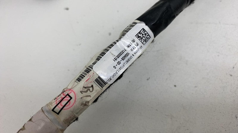 100442800G 12-20 Model S Rear Right Trunk Tailgate Hatch Liftgate Wire Harness 1004428-00-G