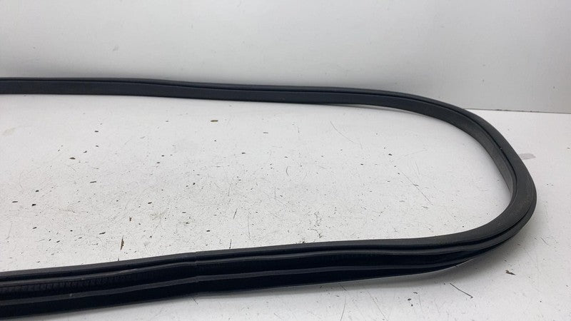 ⭕ 18-24 Lincoln Navigator Rear Left Door Body Weatherstrip Seal JLB-40