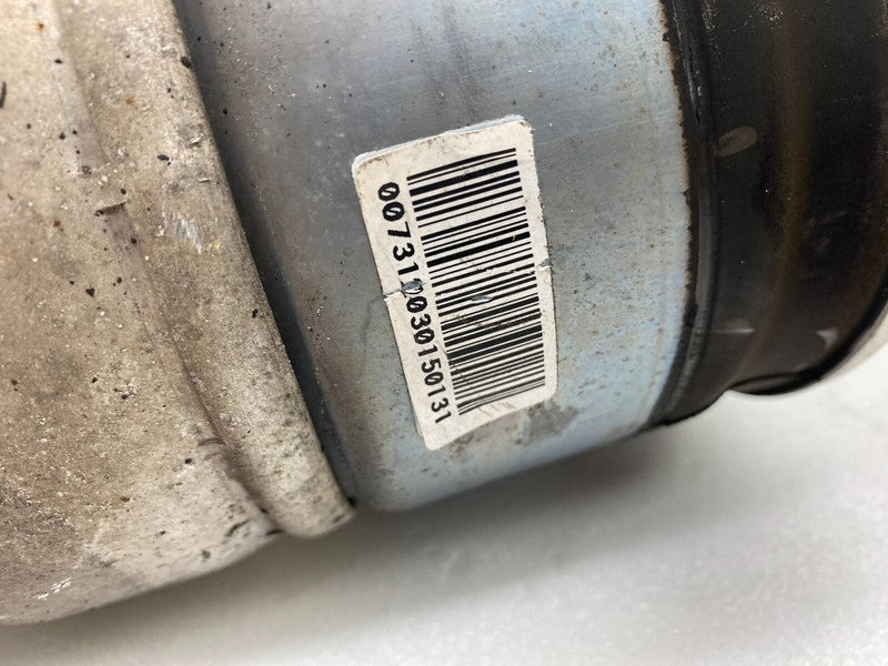 6006351 00 C ⭕12-15 Model S Front Left or Right Air Spring Module Shock Absorber 6006351-00-C